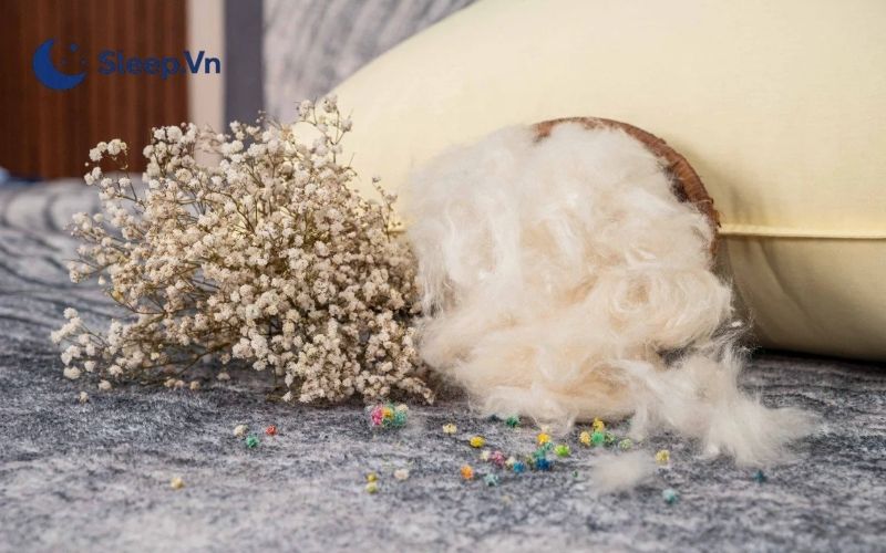 Gối bông gòn là gì? Có nên sử dụng gối bông gòn không? 3 Gối bông gòn tự nhiên