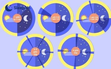 Phương pháp ngủ 2 tiếng 1 ngày: Lợi ích, rủi ro và cách áp dụng an toàn 3 Lịch ngủ Dymaxion (4 giấc/ngày)