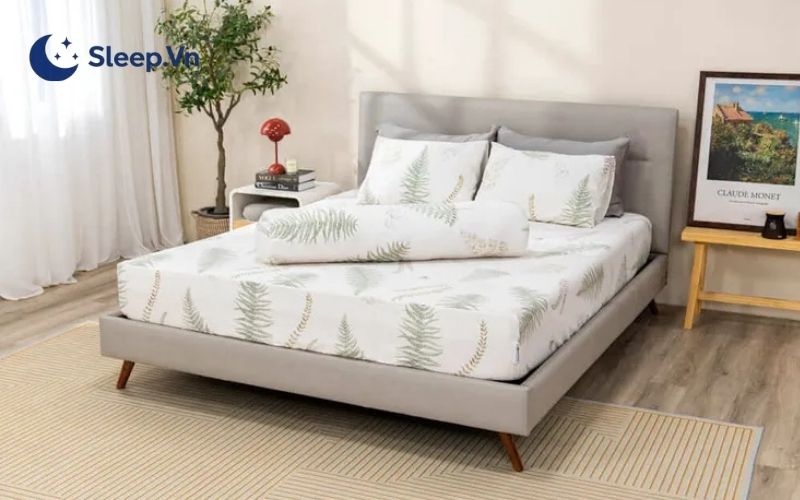 Đi ngủ lúc 12h đêm có sao không? Cách cải thiện giấc ngủ khoa học 5 Lựa chọn gối nệm để có giấc ngủ chất lượng hơn mỗi đêm