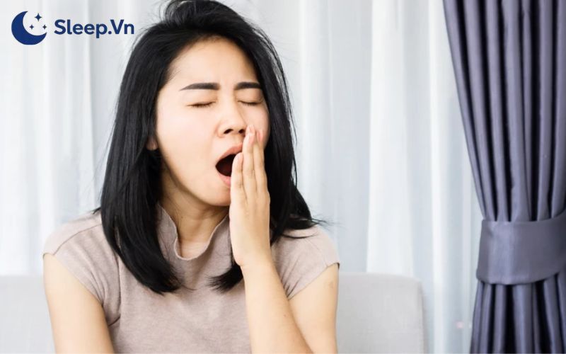 Muốn dậy lúc 2h sáng thì ngủ lúc mấy giờ để không bị mệt? 6 Tình trạng mệt mỏi kéo dài cho thấy bạn không phù hợp với việc thức dậy lúc 2h sáng