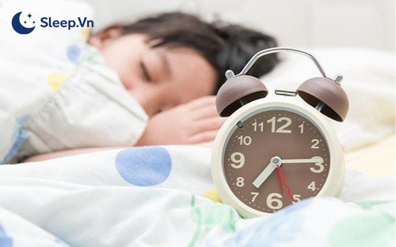 Phương pháp ngủ 4 tiếng một ngày: Bản chất và cách áp dụng 2 Phương pháp ngủ 4 tiếng một ngày thuộc mô hình giấc ngủ đa pha