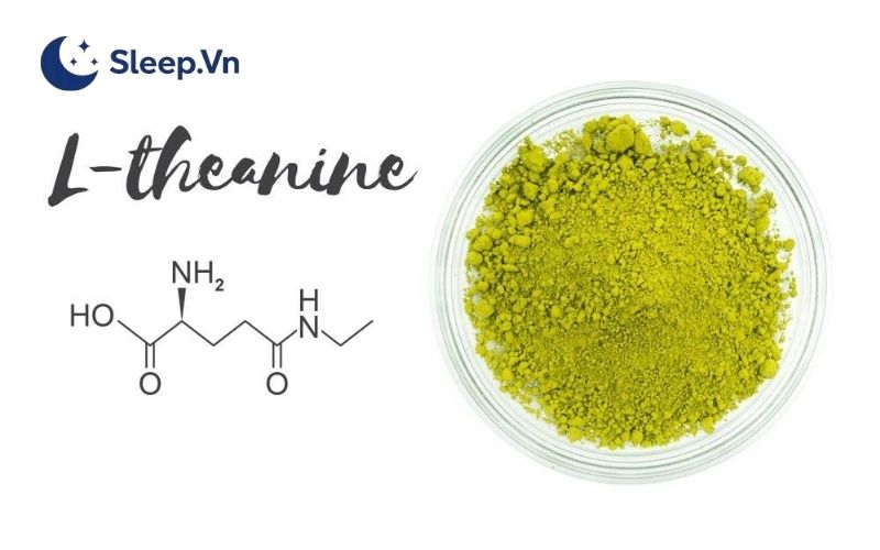 Uống matcha có mất ngủ không? Hướng dẫn cách uống an toàn 4 L-theanine là một loại axit amin tự nhiên có nhiều trong matcha